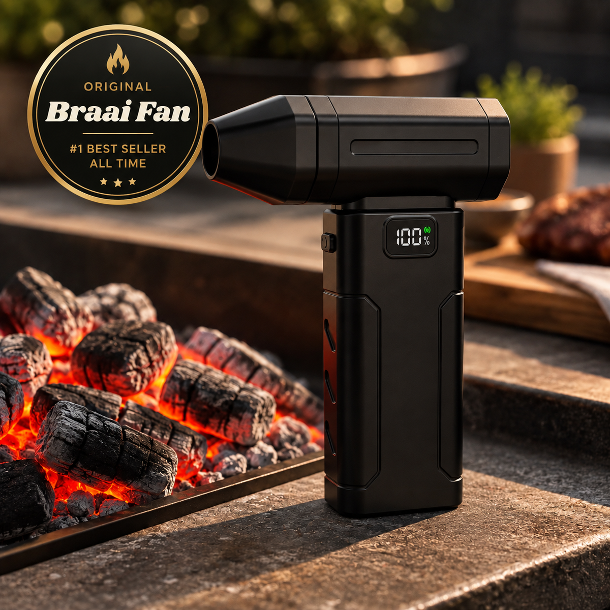 Braai Buddy Braai Fan